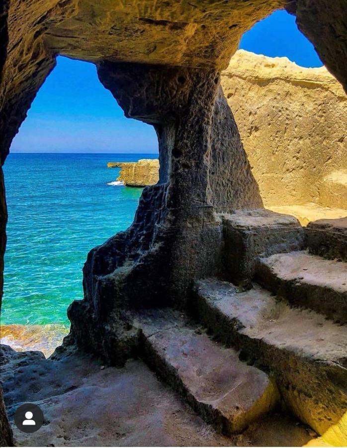 Casa Magnolia Villa Montalbano  Buitenkant foto